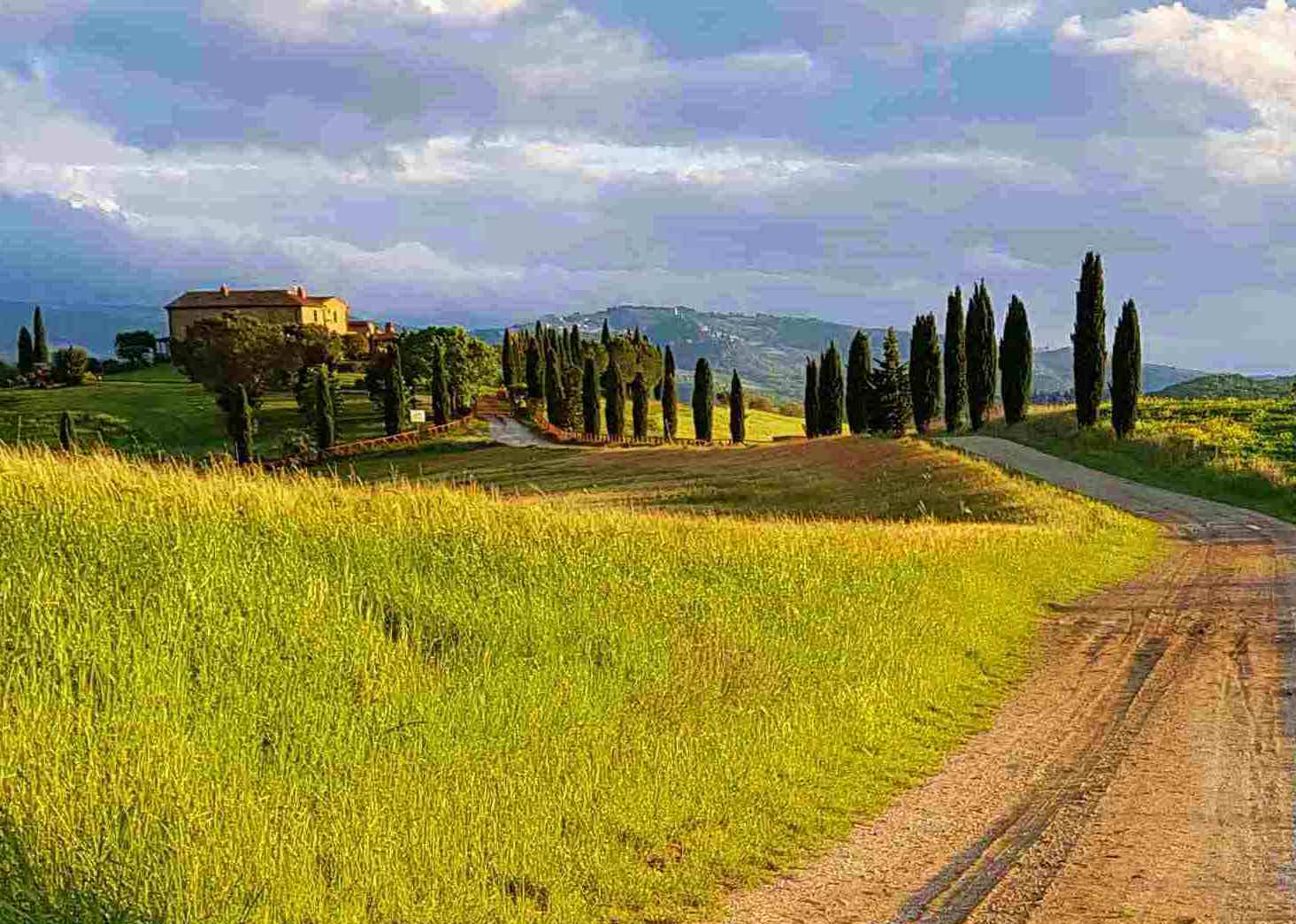 <span style="font-weight: bold;">Велотур "TOSCANA DELUXE" с 5 по 11 октября</span><br>